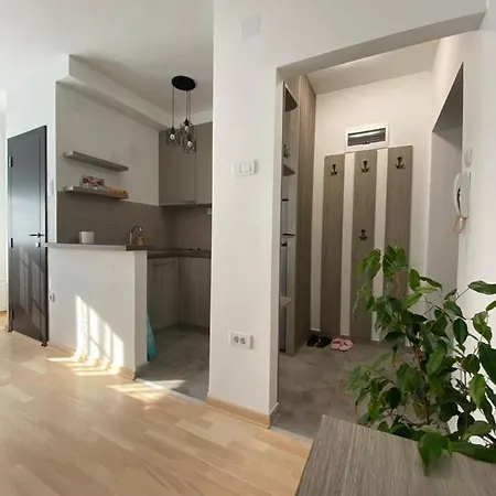 Vist 1 Lejlighed Beograd